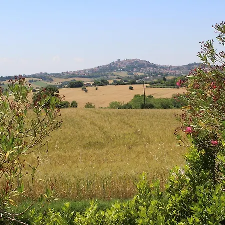 Villa Belvedere Degli Ulivi-3